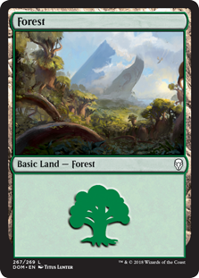 Forest (267) (Dominaria) Near Mint Foil