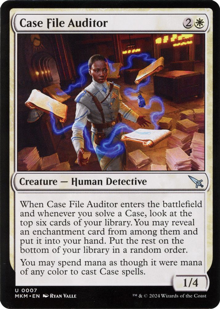 Case File Auditor (a)