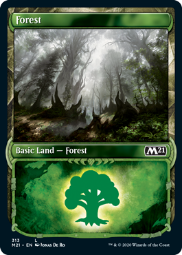 Forest (313) (Showcase) (Magic 2021 Core Set) Near Mint