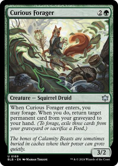 Curious Forager (Bloomburrow) Near Mint