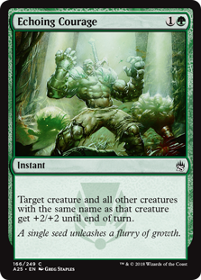 Echoing Courage (Masters 25) Near Mint