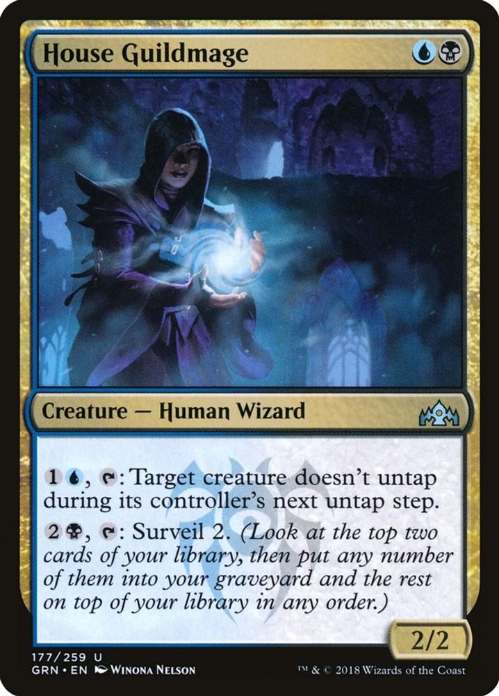 House Guildmage