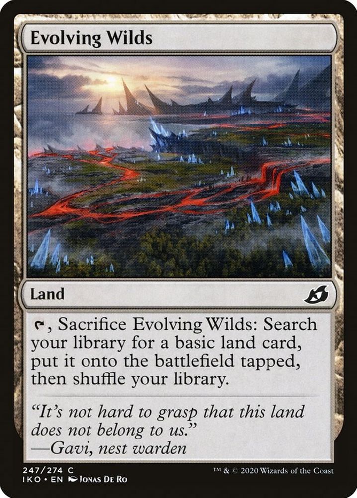 Evolving Wilds
