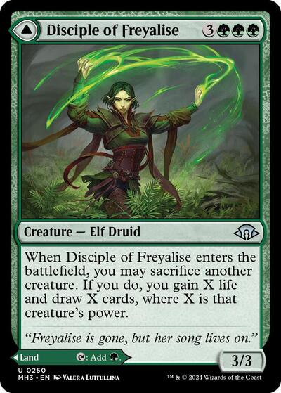 Disciple of Freyalise (Modern Horizons 3) Near Mint
