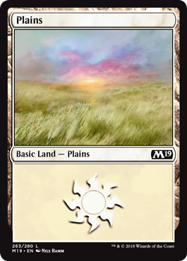 Plains (263) (Magic 2019 Core Set) Near Mint Foil