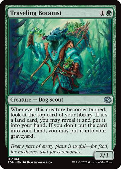Traveling Botanist (Tarkir: Dragonstorm) Near Mint