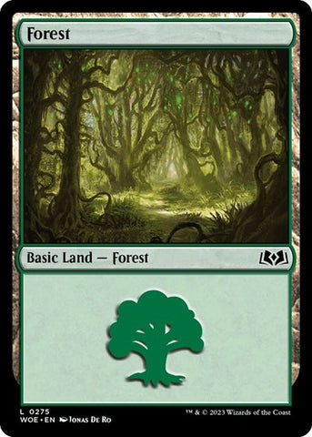 Forest (0275) (Wilds of Eldraine) Near Mint Foil