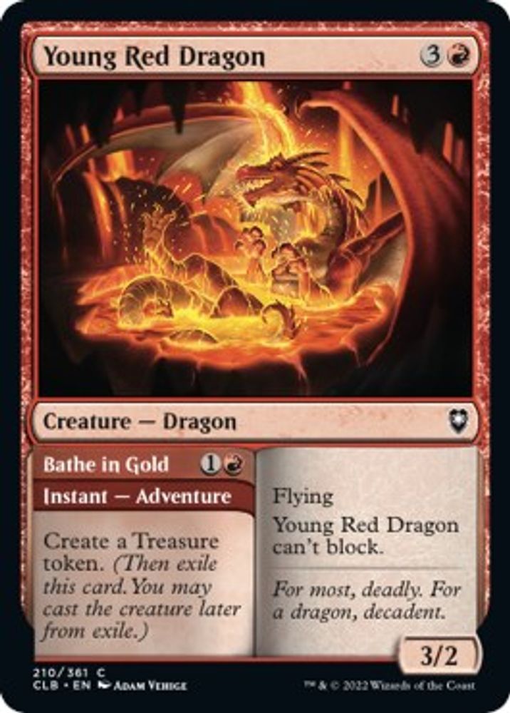 Young Red Dragon