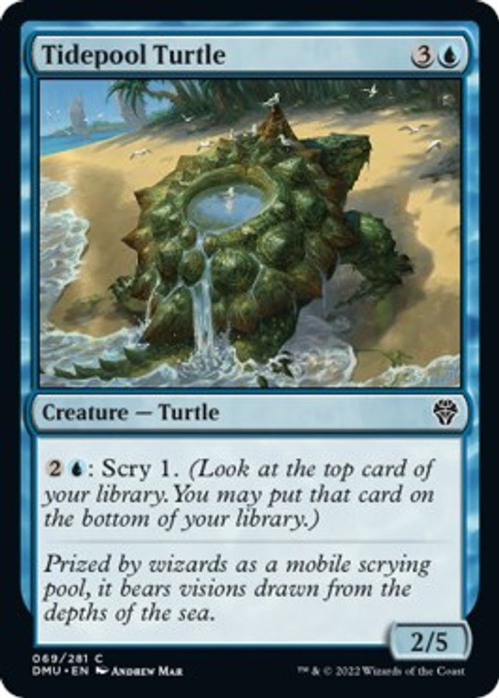 Tidepool Turtle