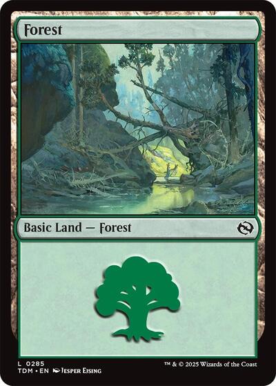 Forest (0285) (Tarkir: Dragonstorm) Near Mint