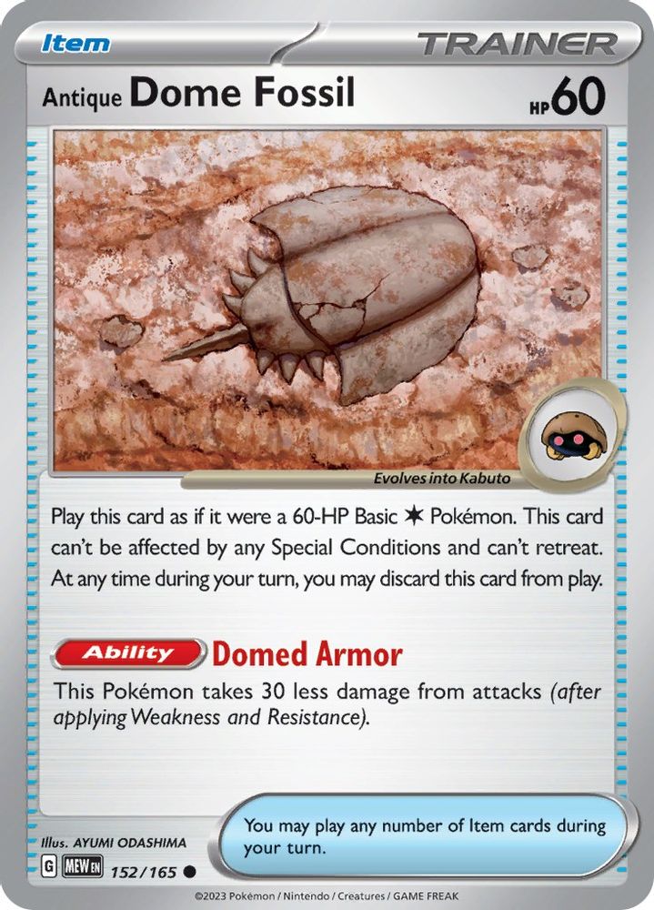 Antique Dome Fossil