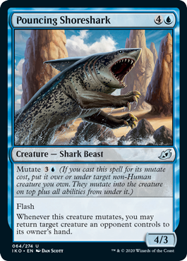 Pouncing Shoreshark (Ikoria: Lair of Behemoths) Near Mint Foil