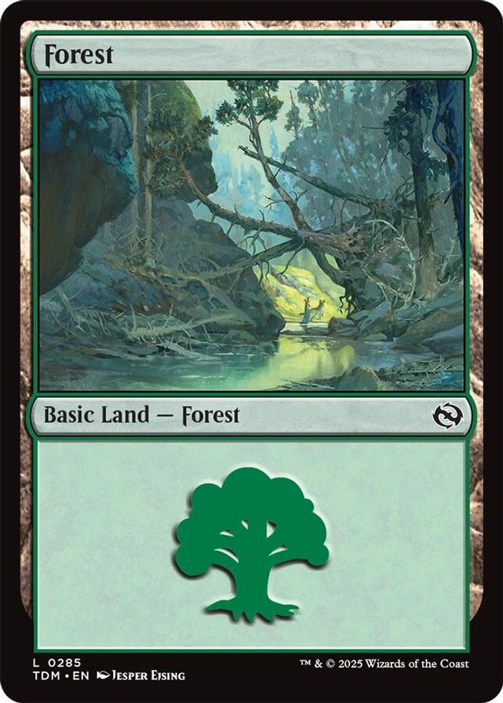 Forest (0285)