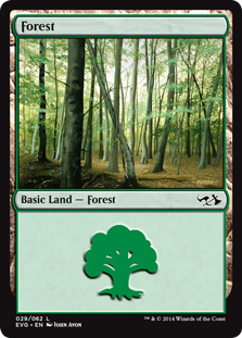 Forest 2 (Duel Decks Anthology: Elves vs Goblins) Near Mint