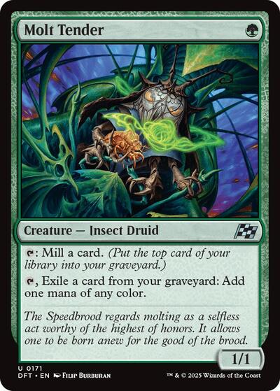 Molt Tender (Aetherdrift) Near Mint