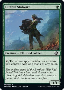 Citanul Stalwart (The Brothers' War) Near Mint