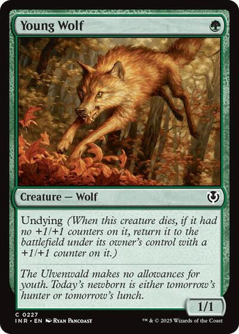 Young Wolf (Innistrad Remastered) Near Mint Foil