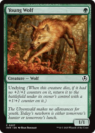 Young Wolf (Innistrad Remastered) Light Play Foil