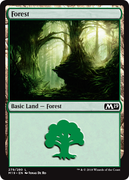 Forest (279) (Magic 2019 Core Set) Near Mint