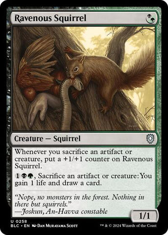 Ravenous Squirrel (Commander: Bloomburrow) Near Mint
