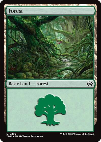 Forest (0286) (Tarkir: Dragonstorm) Near Mint