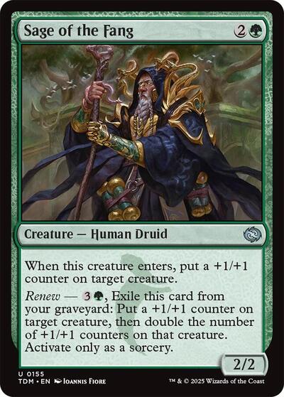 Sage of the Fang (Tarkir: Dragonstorm) Near Mint Foil