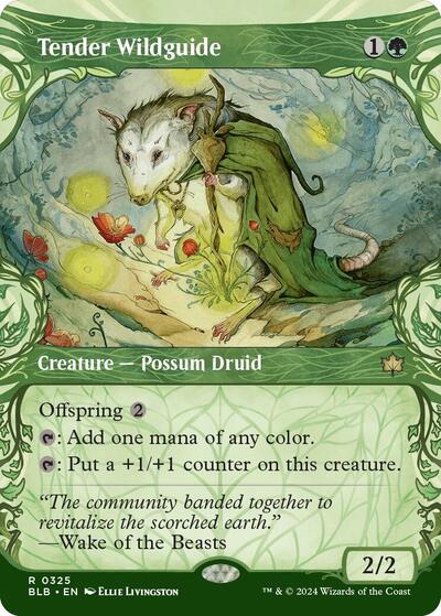 Tender Wildguide (Showcase) (Bloomburrow) Light Play Foil