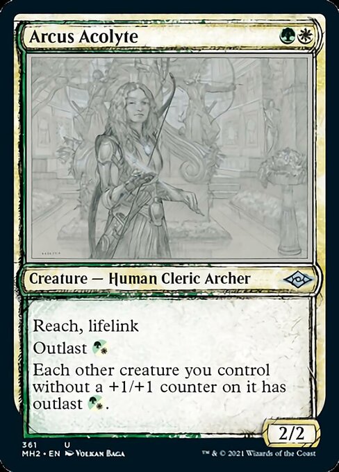 Arcus Acolyte (Showcase) (Modern Horizons 2) Near Mint Foil