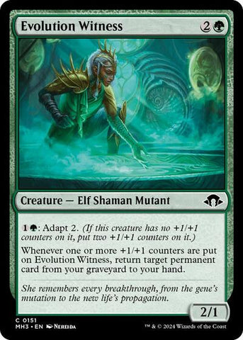 Evolution Witness (Modern Horizons 3) Near Mint Foil